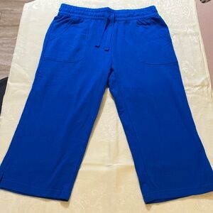 Bobbie Brooks Capri Knit Pants, Size L